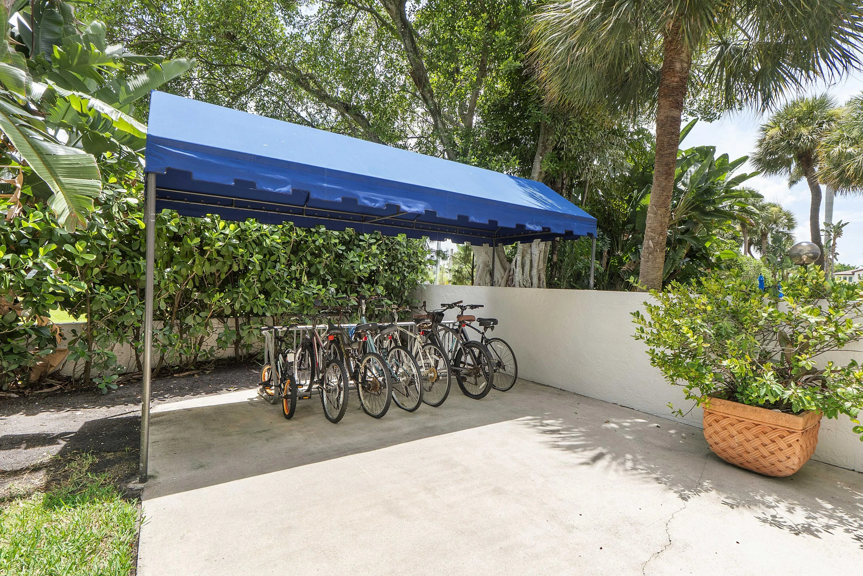 23200 Camino Del Mar u302_070