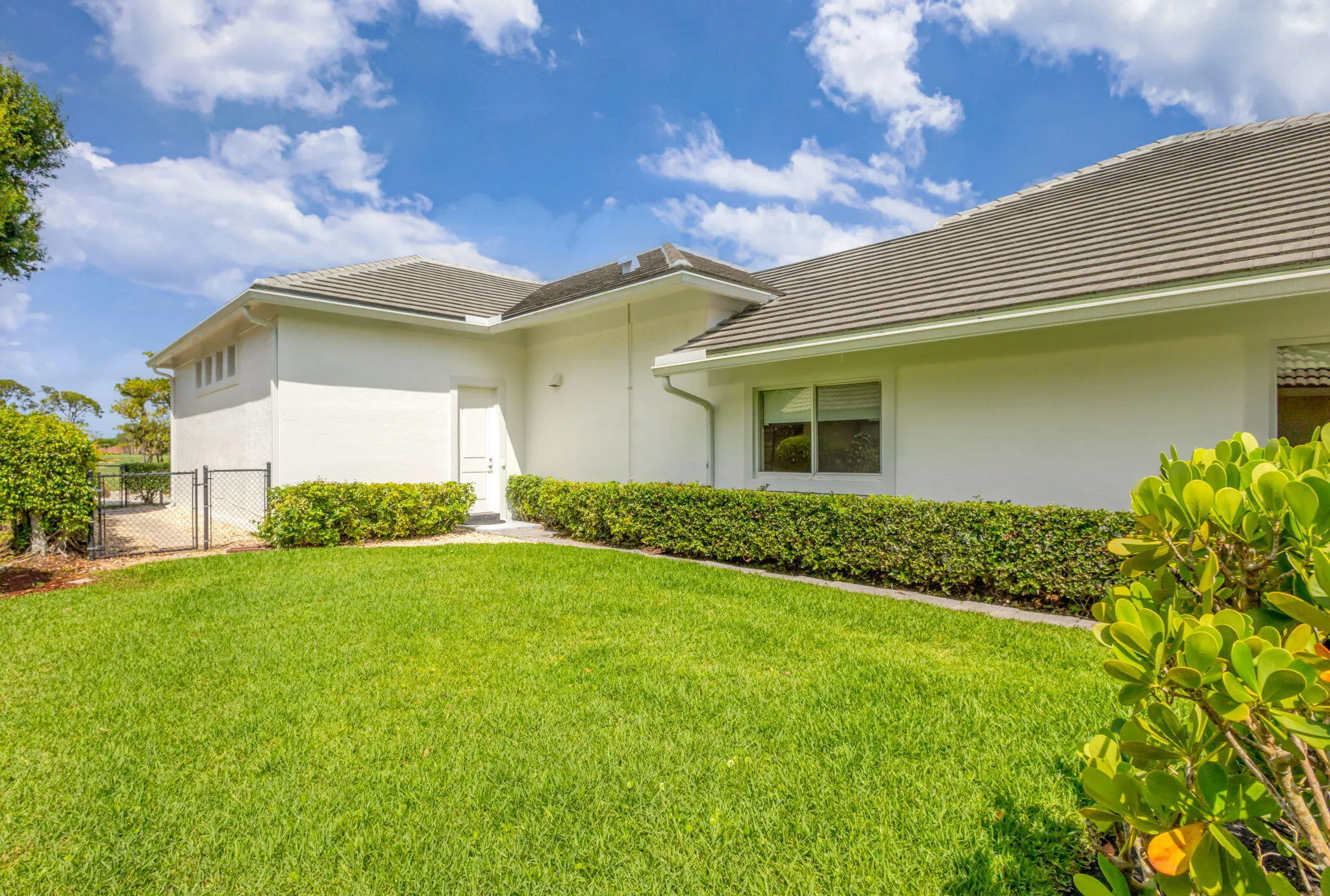 BACK LAWN