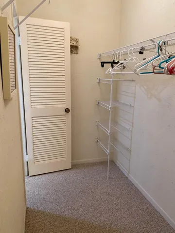 Master Walk in closet