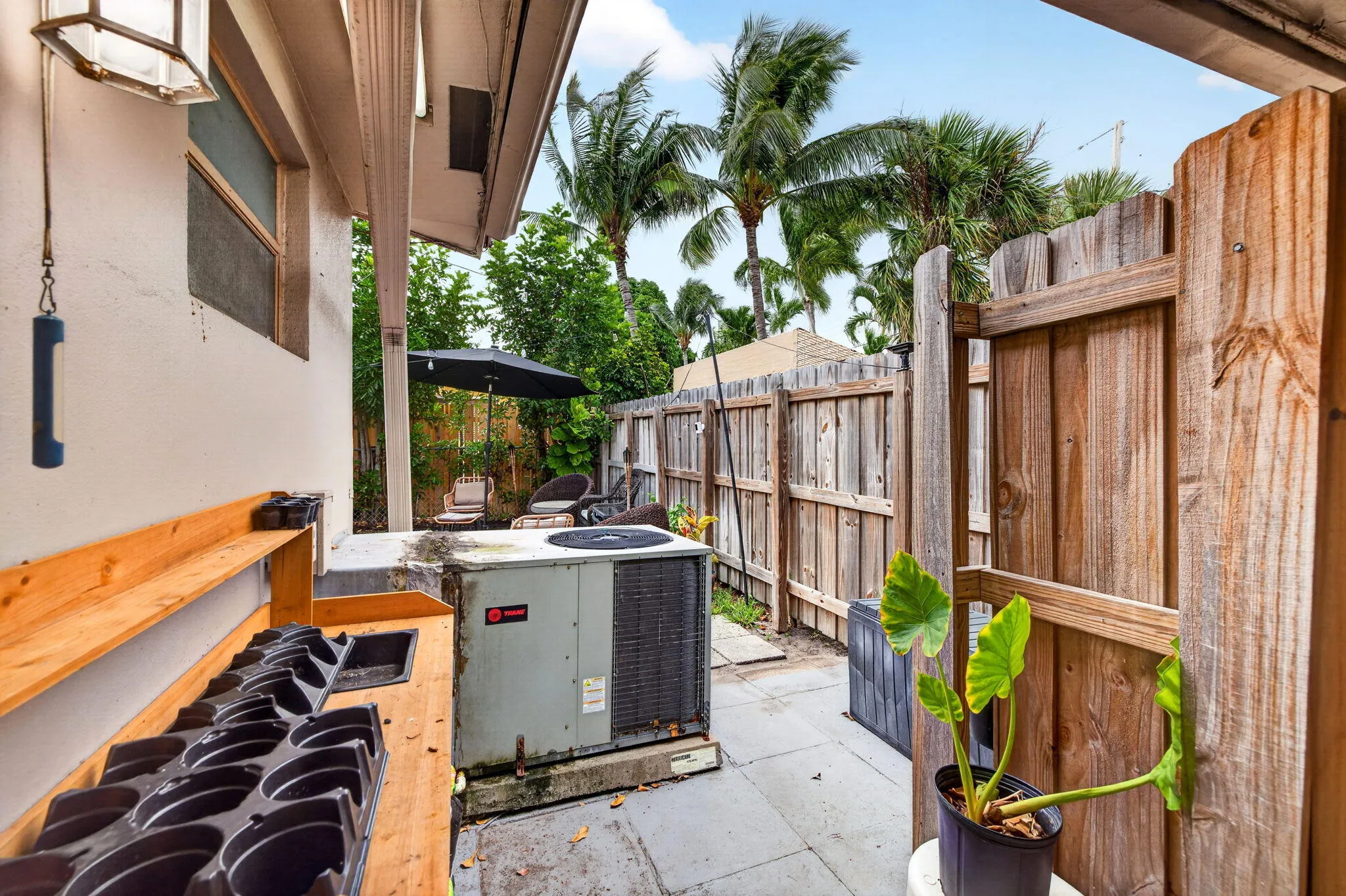 34-web-or-mls-699A2417