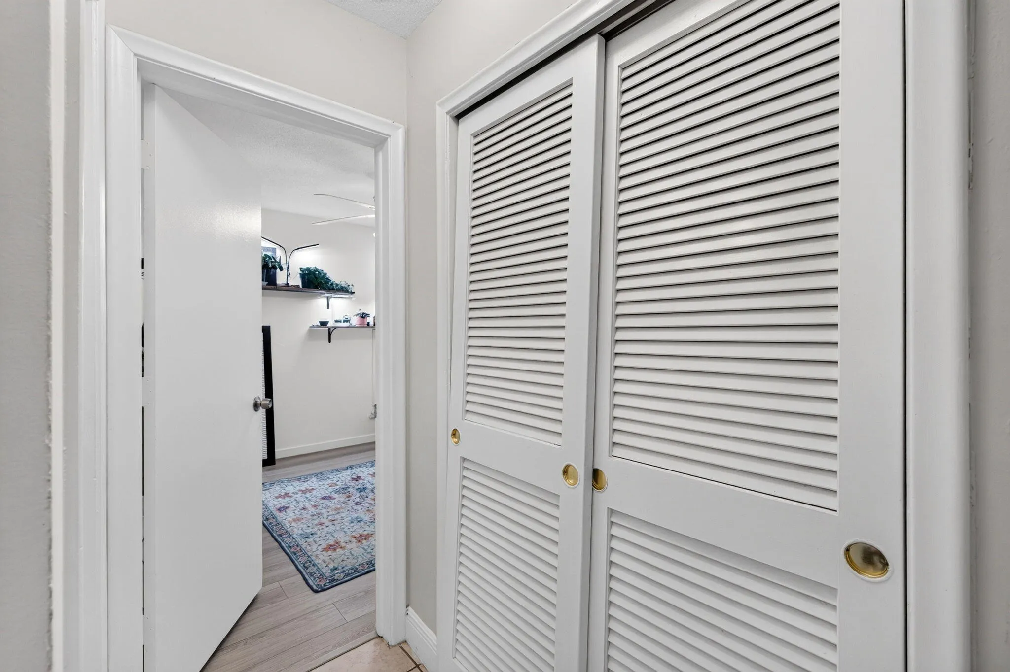 25-web-or-mls-699A2527