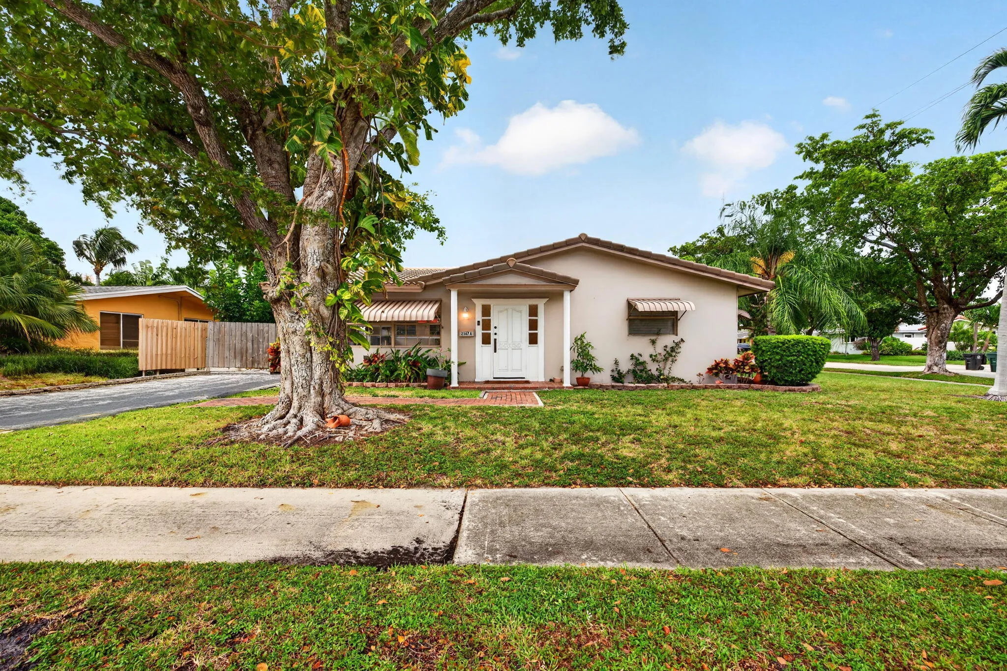 3-web-or-mls-699A2492