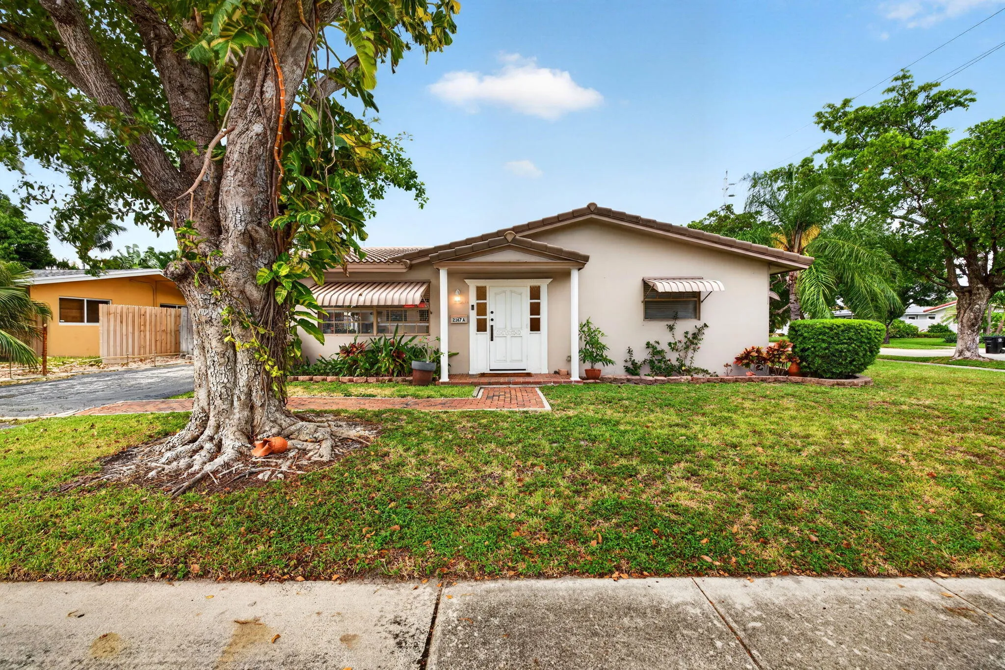 6-web-or-mls-699A2499