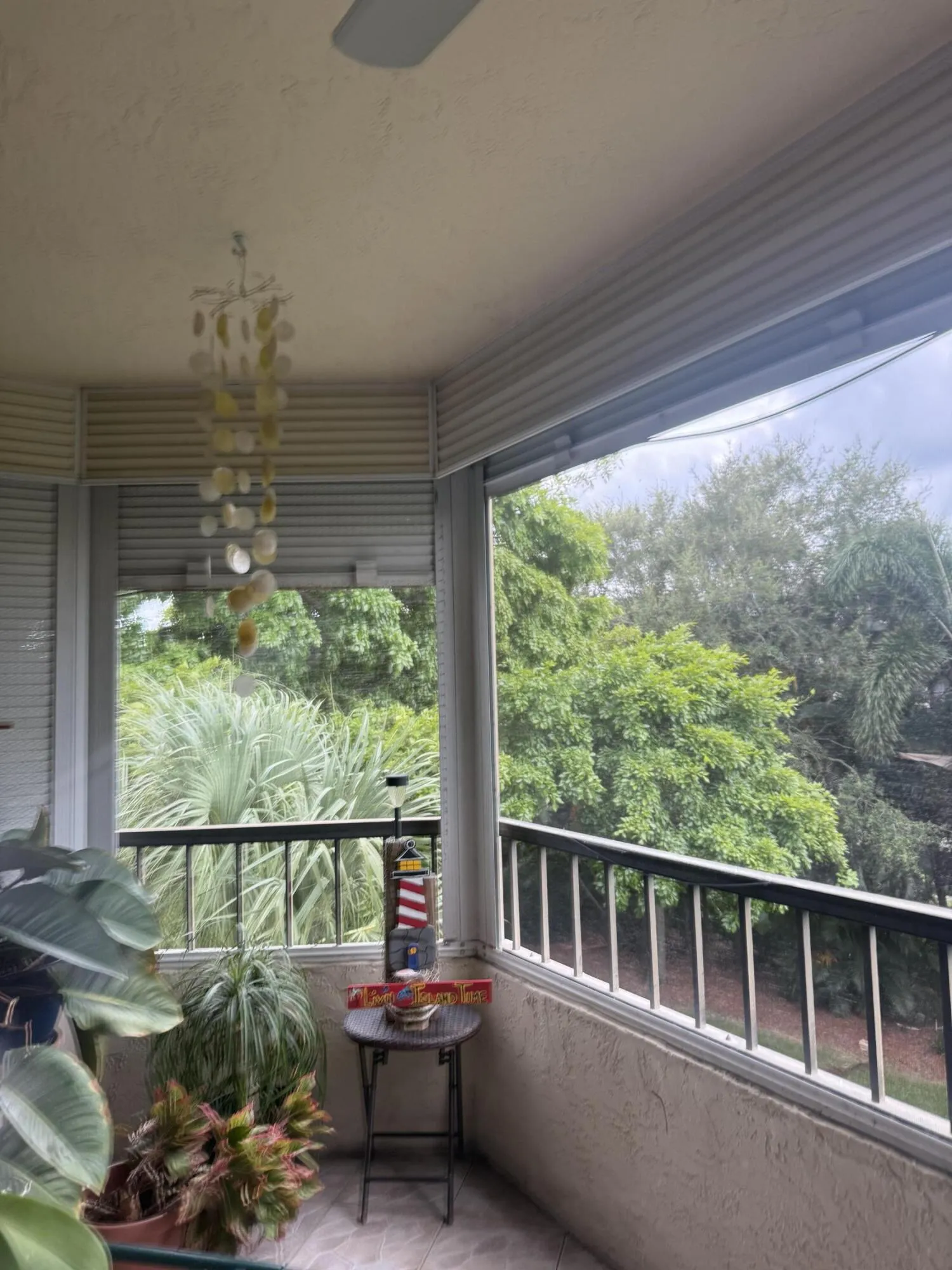 Patio SW view