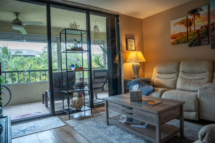 Living room/patio view