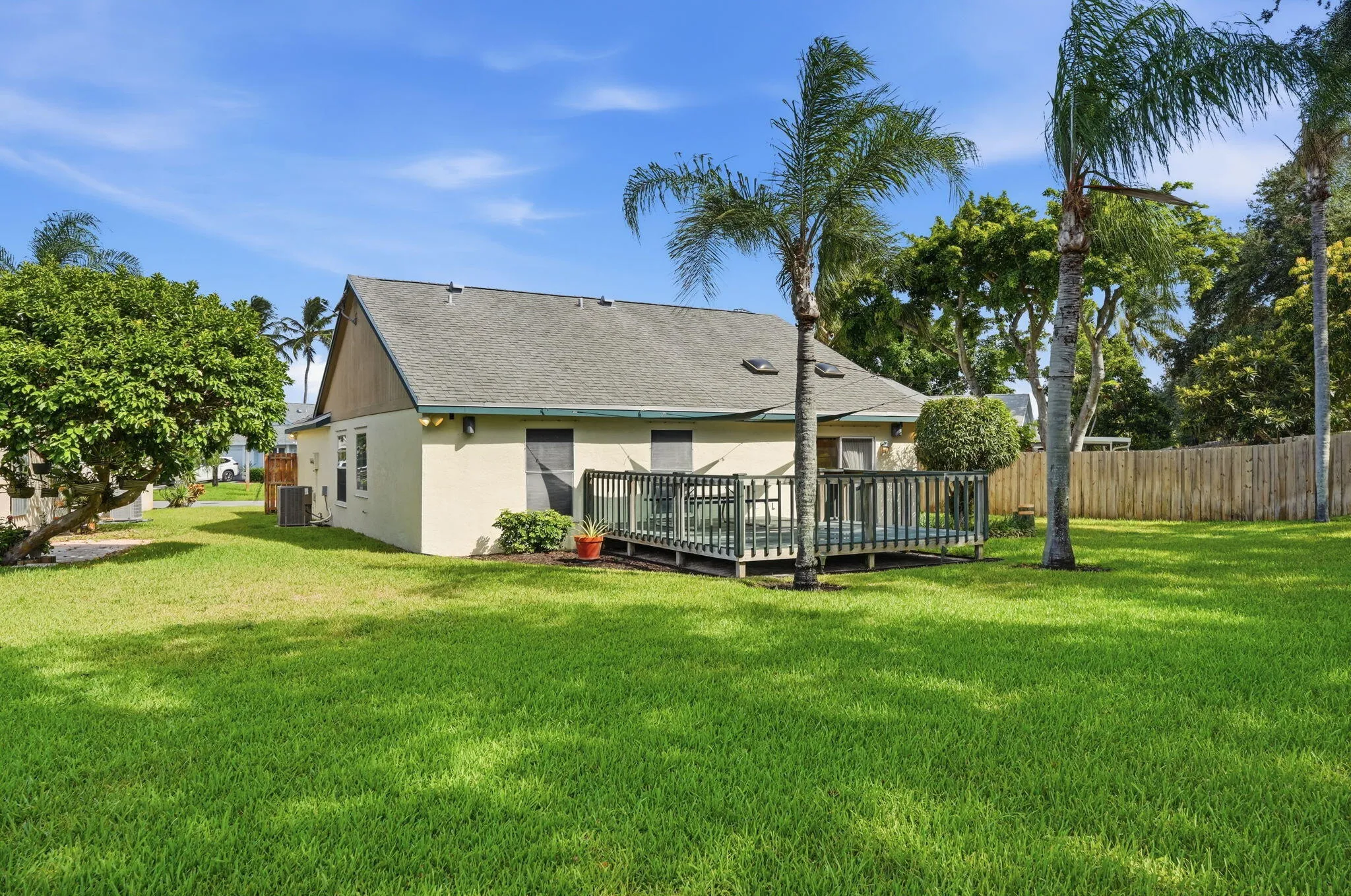 Backyard featuring a wooden deck with railing, expansive green lawn, and mature palm trees