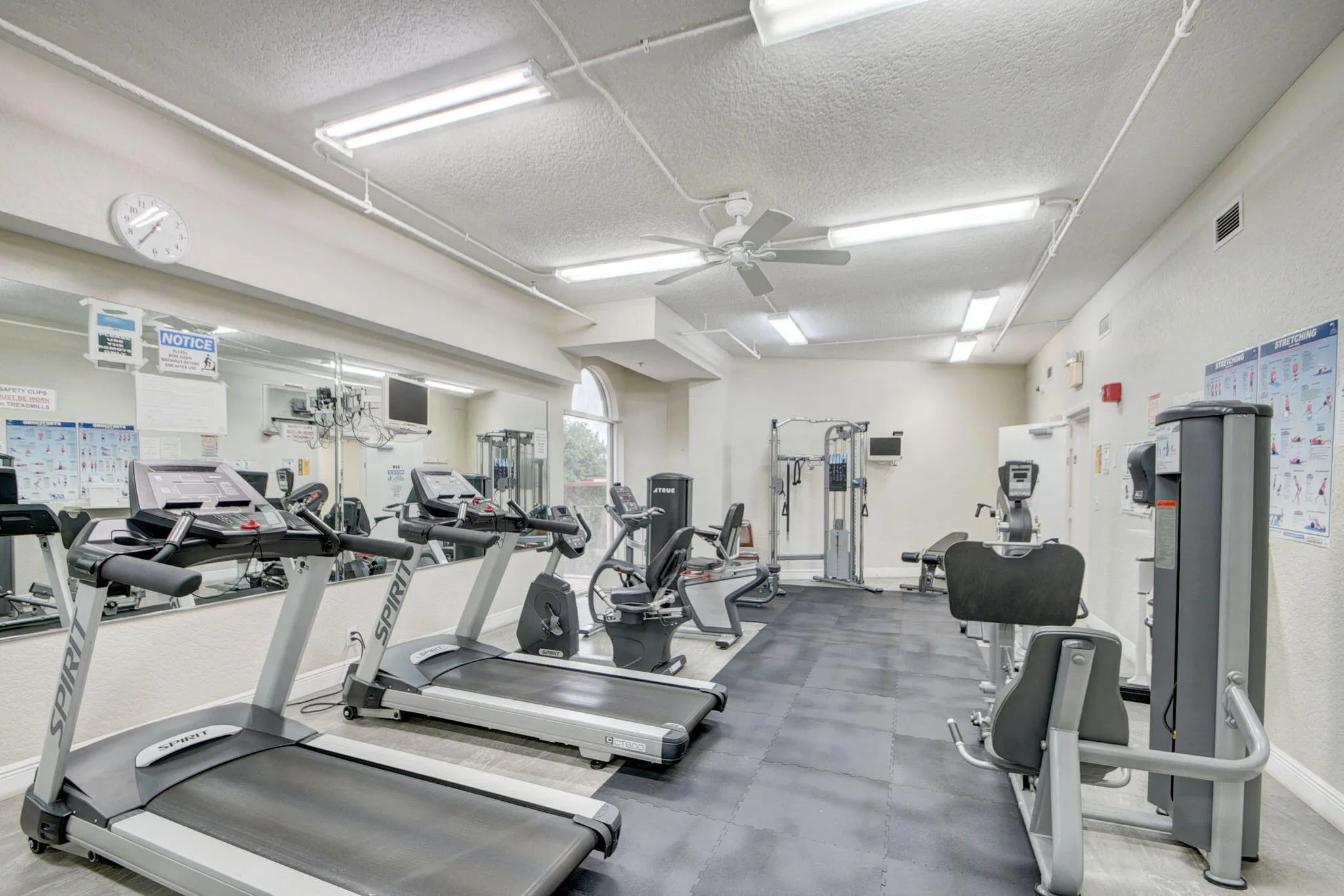 Gym