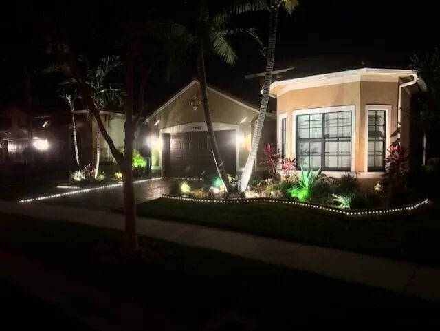 Night Parkland
