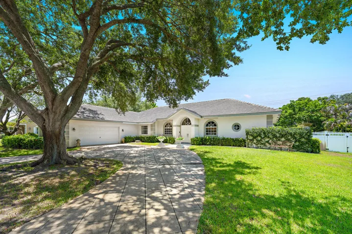 3 Loggerhead Ln-3