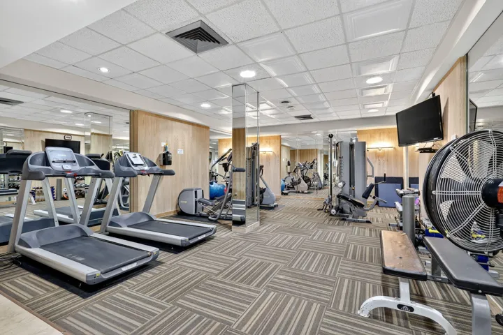 fitness