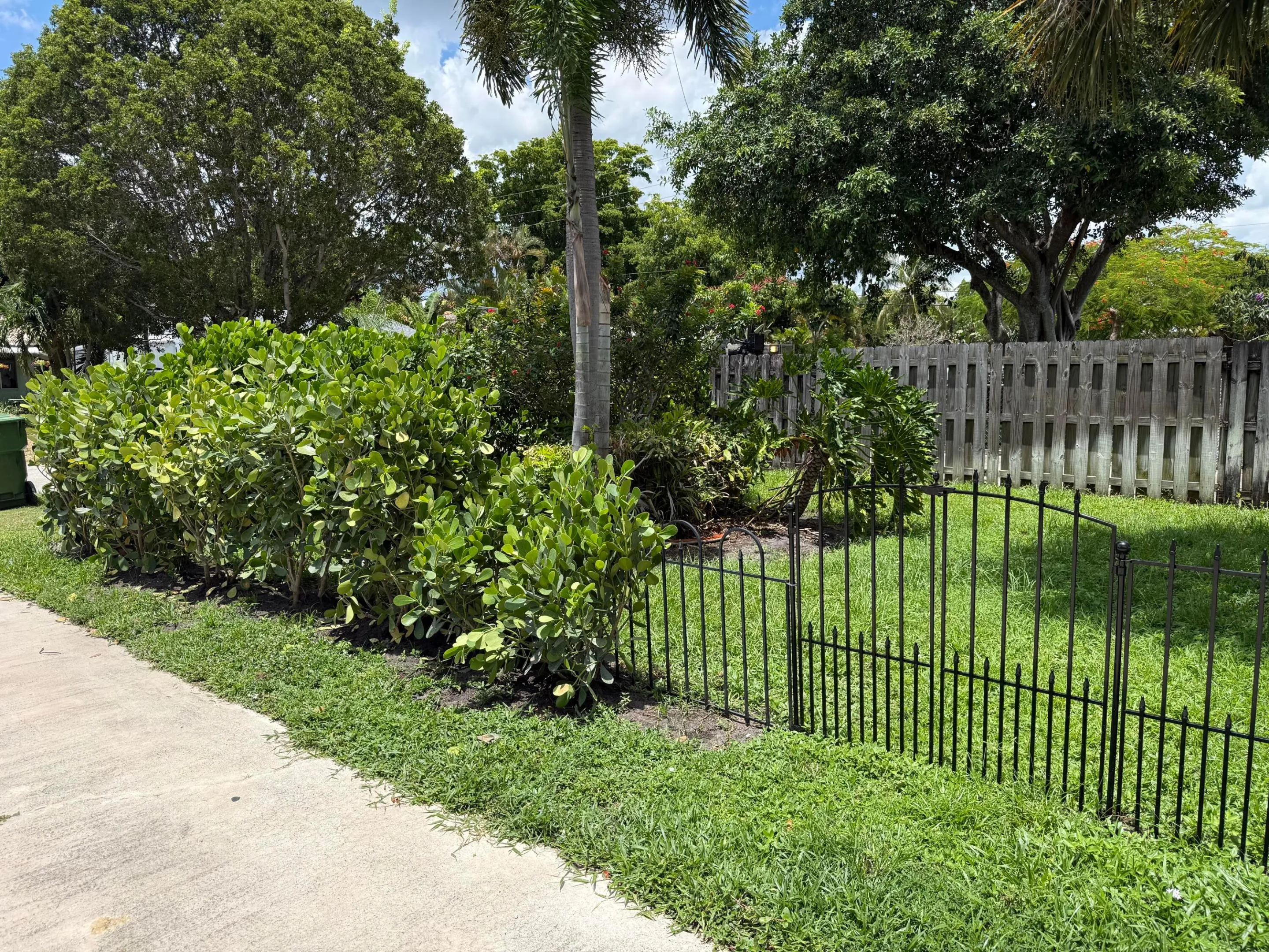 Front Yard
