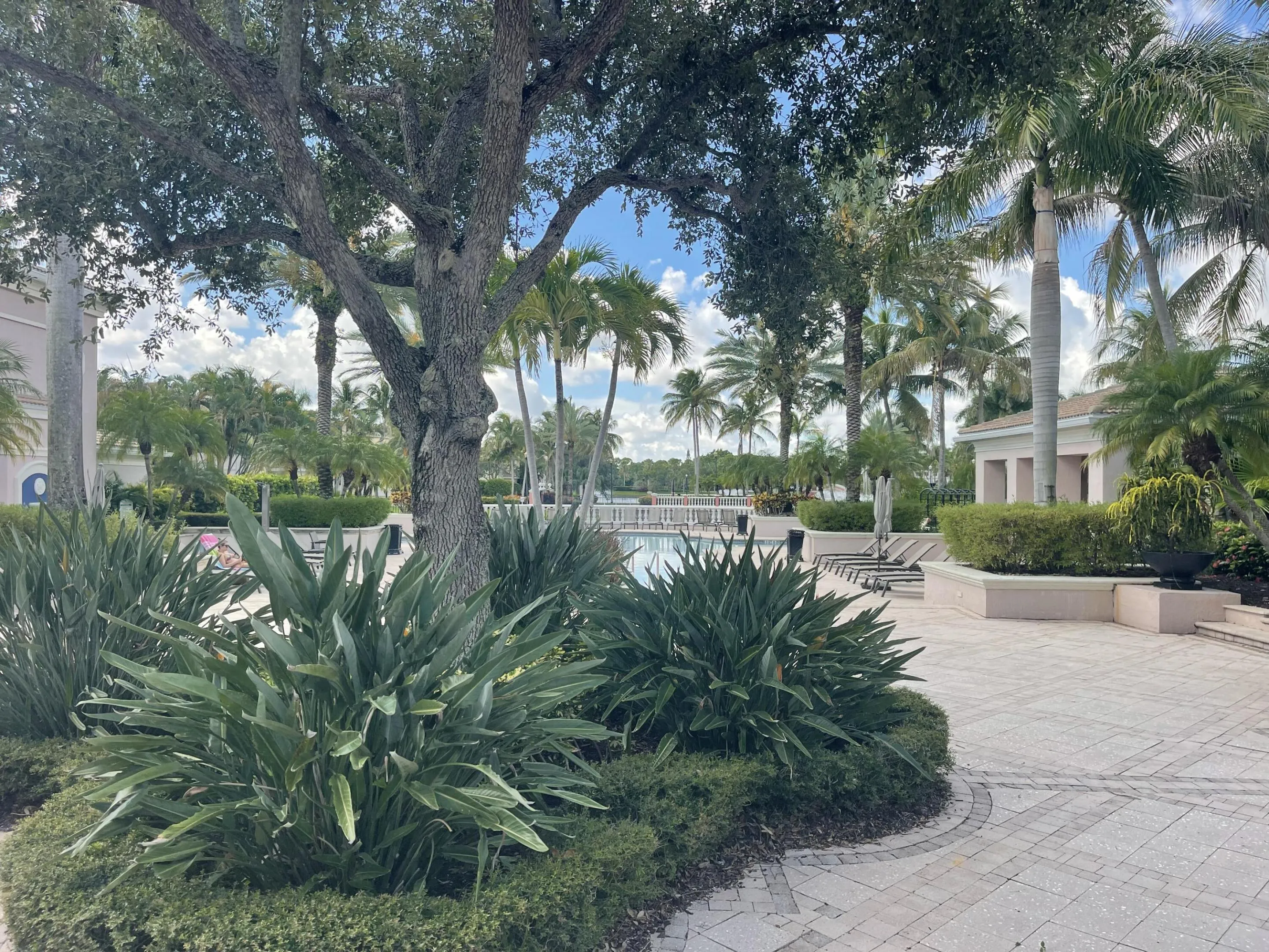 2729 ANZIO CT 41