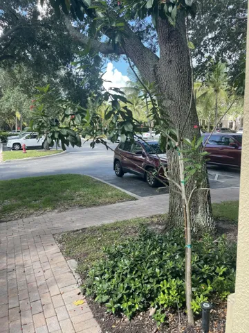 2729 ANZIO CT 35