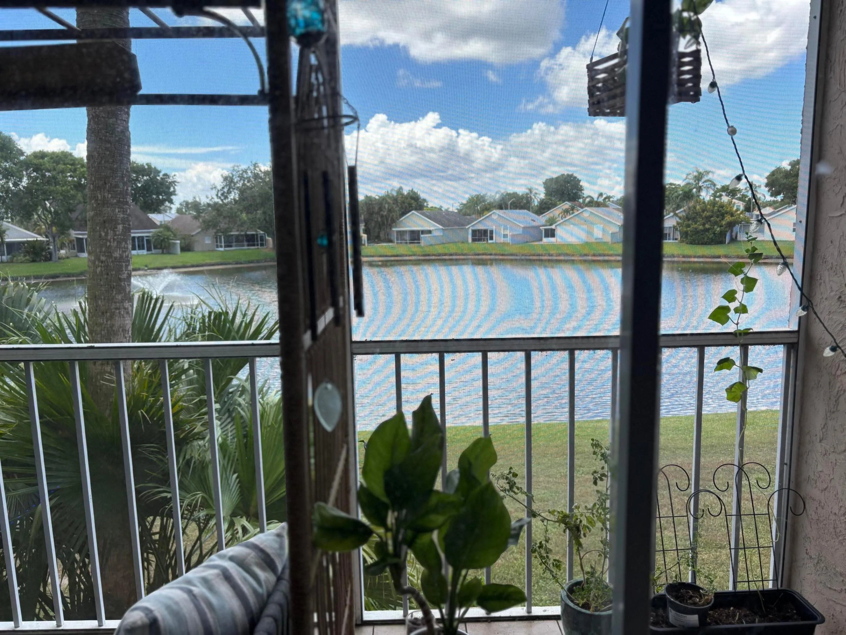 Lake view