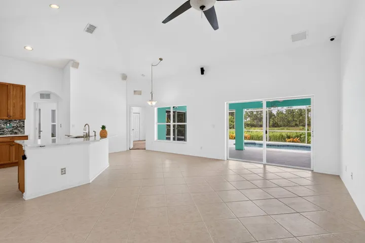 Living Room and Kitchen Area