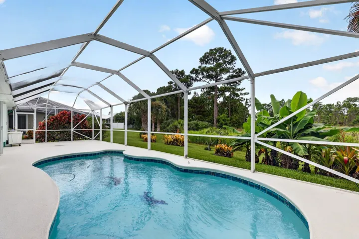 Pool/Lanai