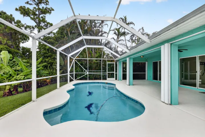 Pool/Lanai
