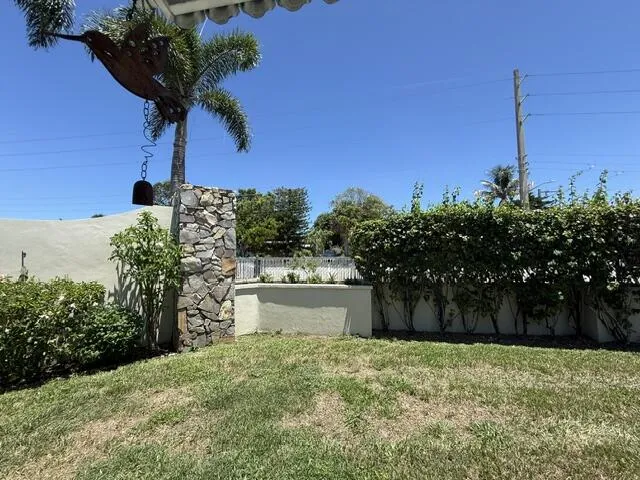 backyard