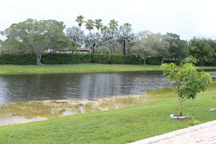Water view