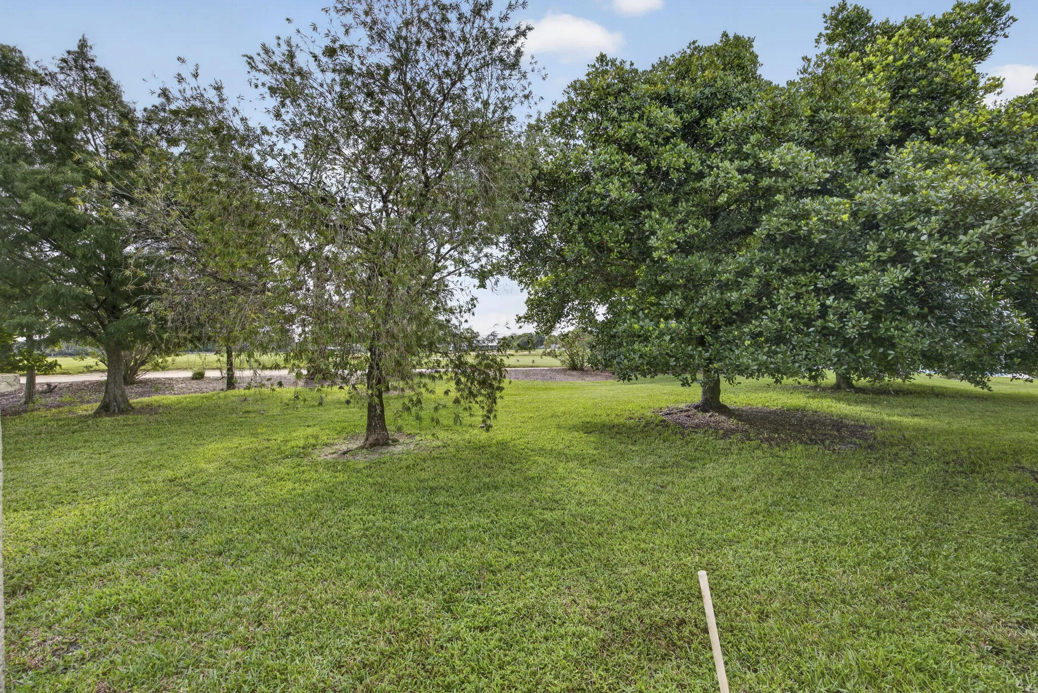49-web-or-mls-BS1A5715