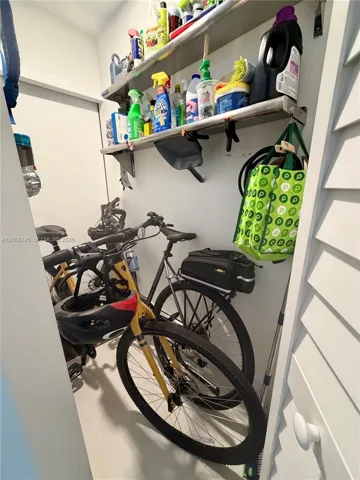Large Closet Accessible From Inside and Outside Unit