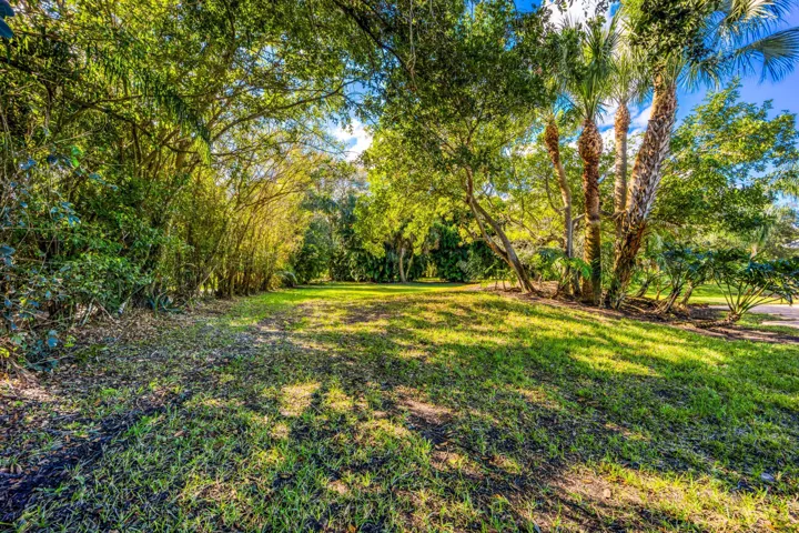 tranquil oversized backyard