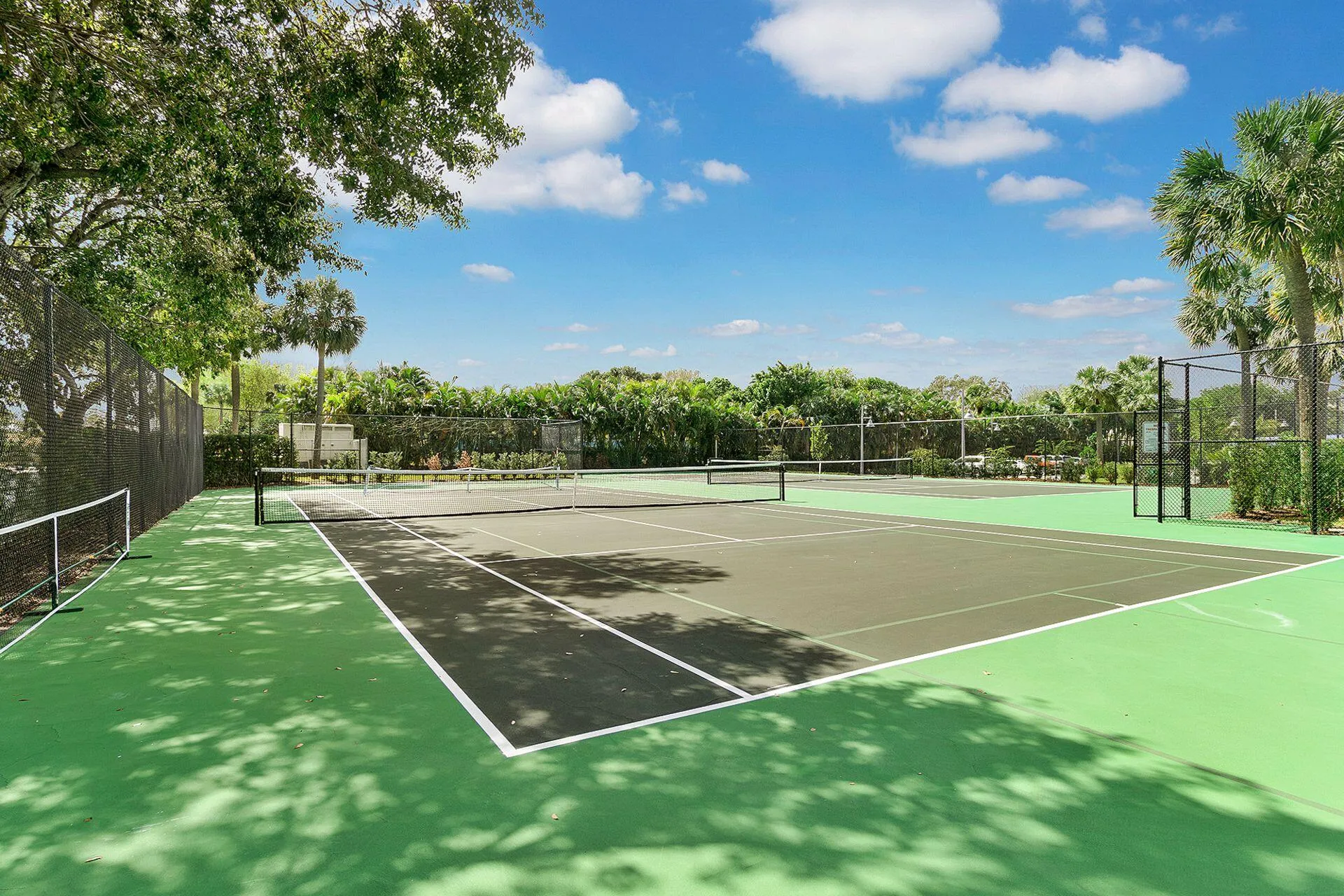 Pickle Ball / Tennis 2 Cts