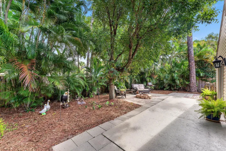 Private outdoor space featuring mature trees and lush tropical landscaping