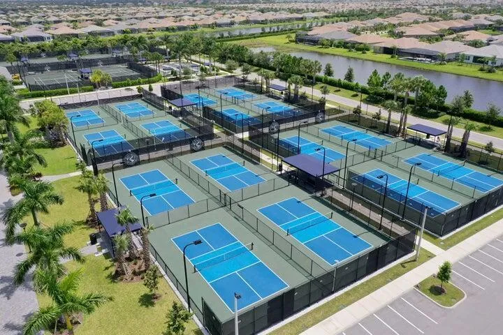 Pickle Ball 2