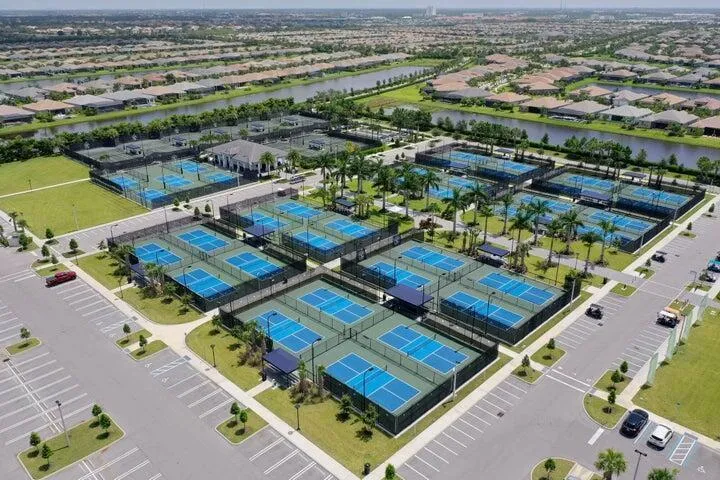 Pickle Ball 3