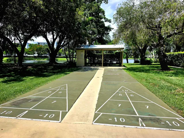 SHUFFLEBOARD ANYONE?