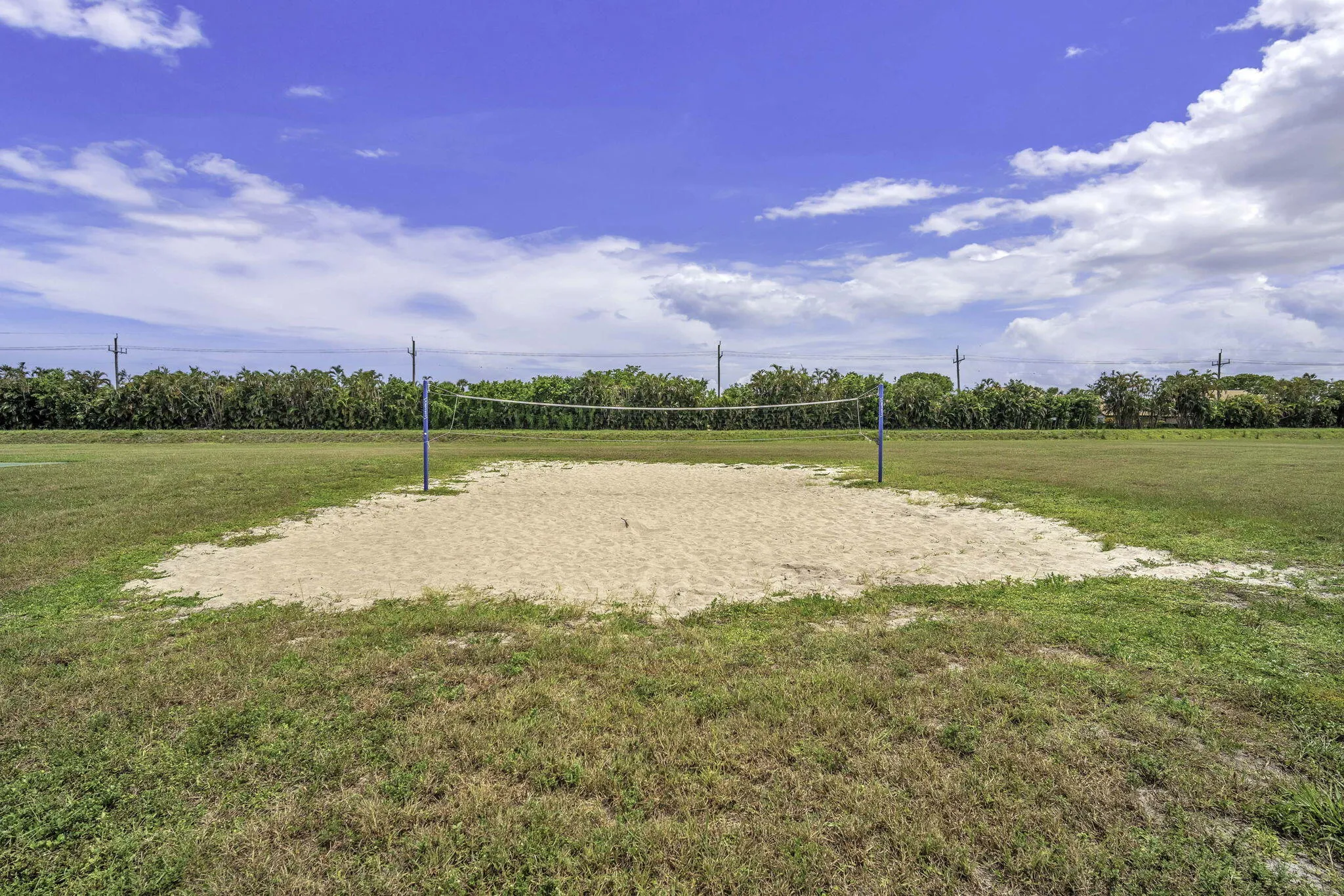 Volleyball court