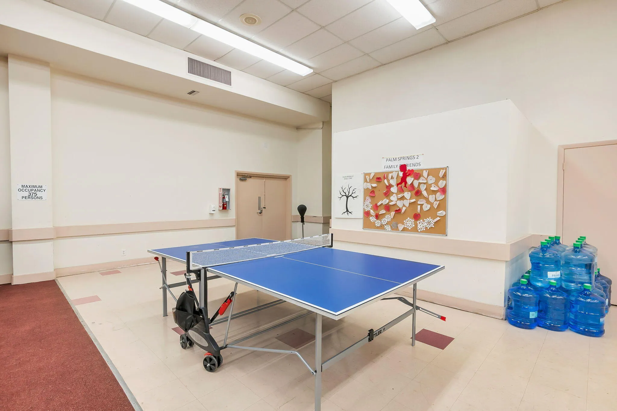Ping-pong table
