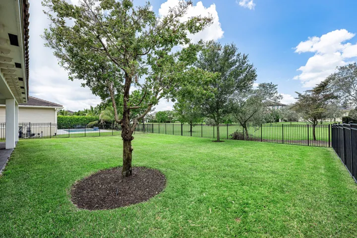 LARGE YARD