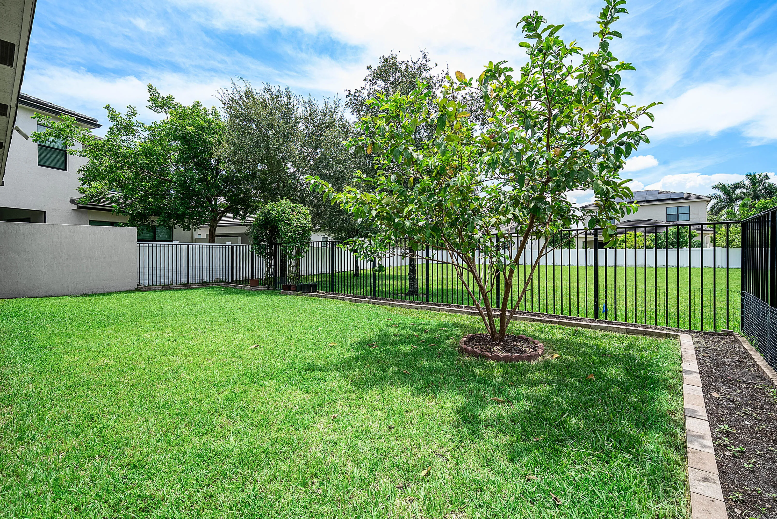 Yard