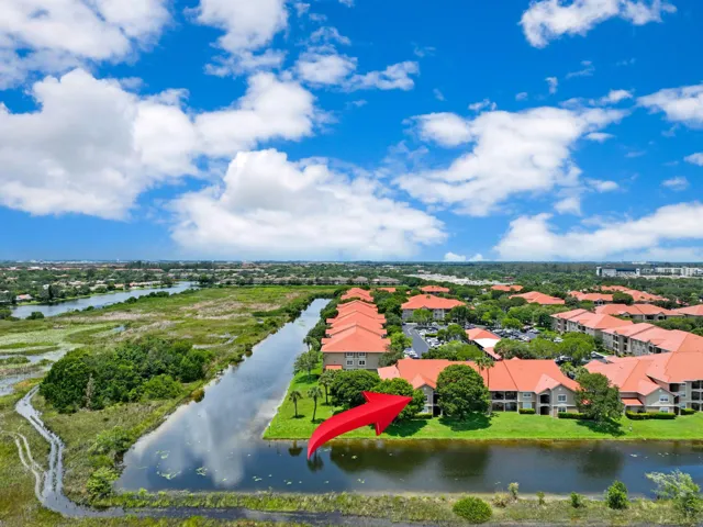 Ariel View
