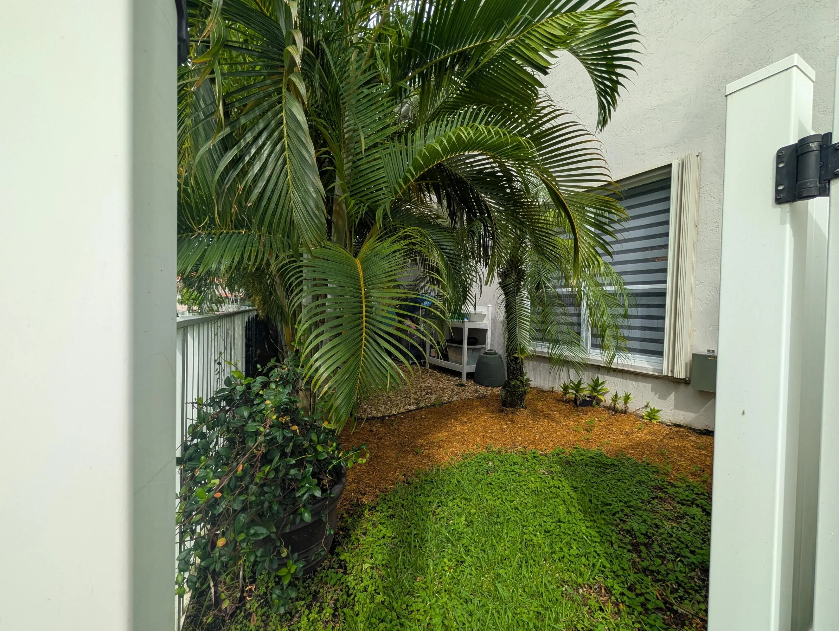 side yard
