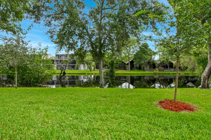 lake view