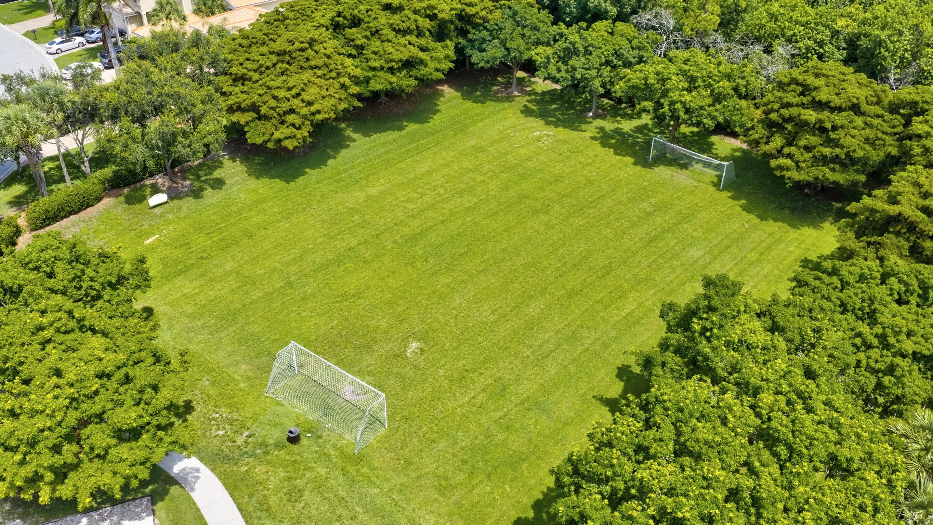 Aerial Shot