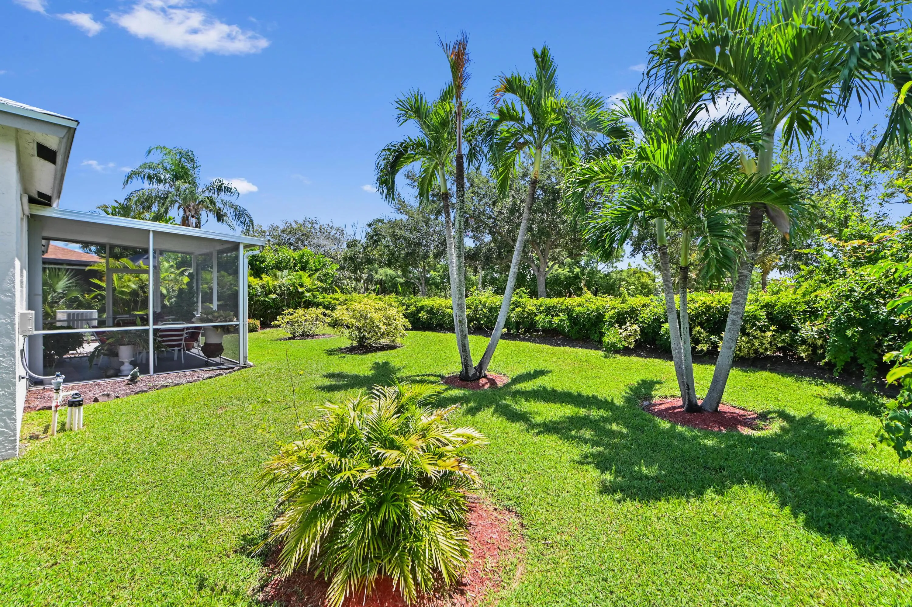34 Rear 04