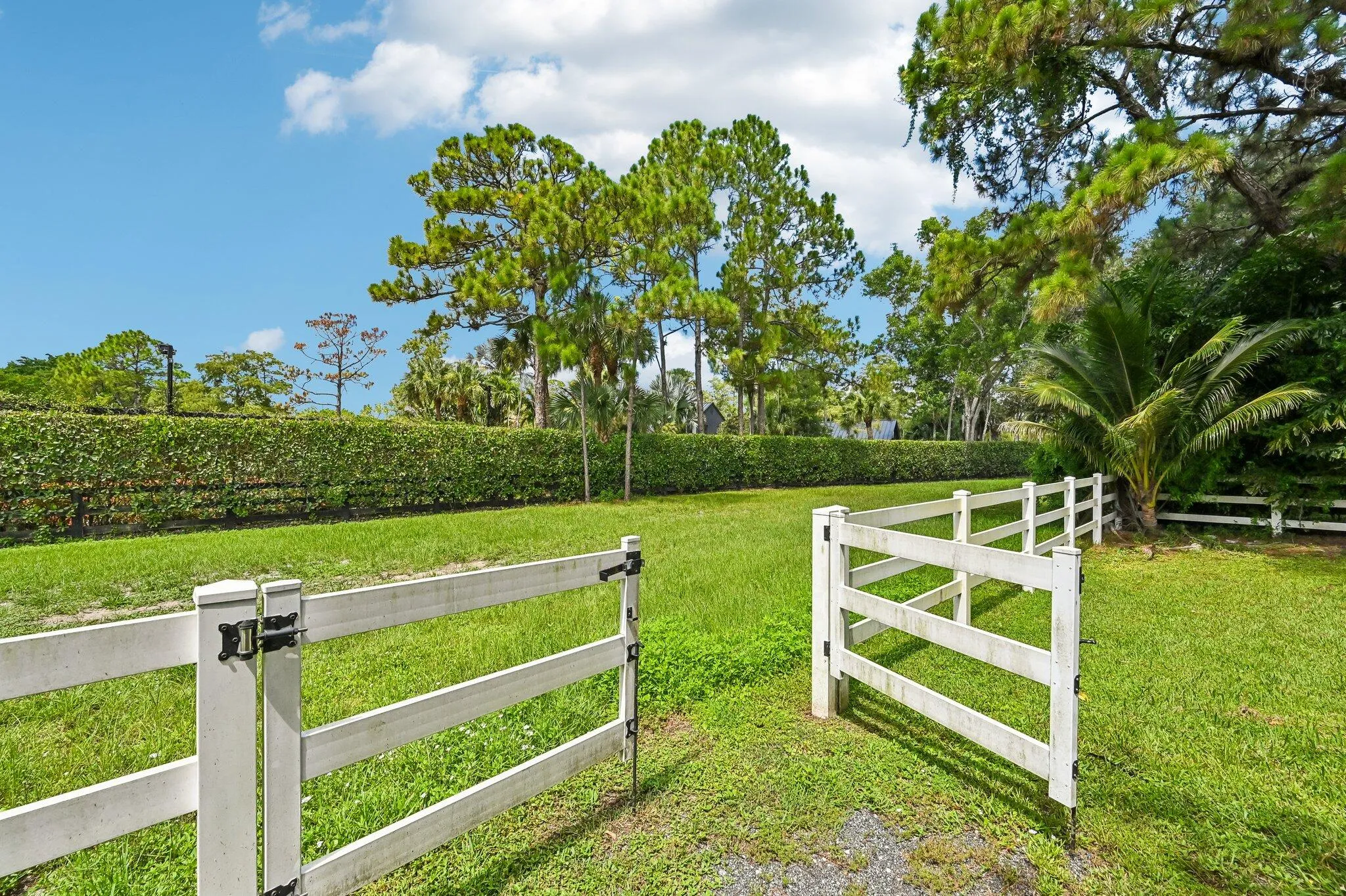56-web-or-mls-Pelham Rd-S3007-056