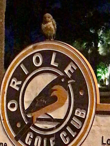ORIOLE GOLF CLUB