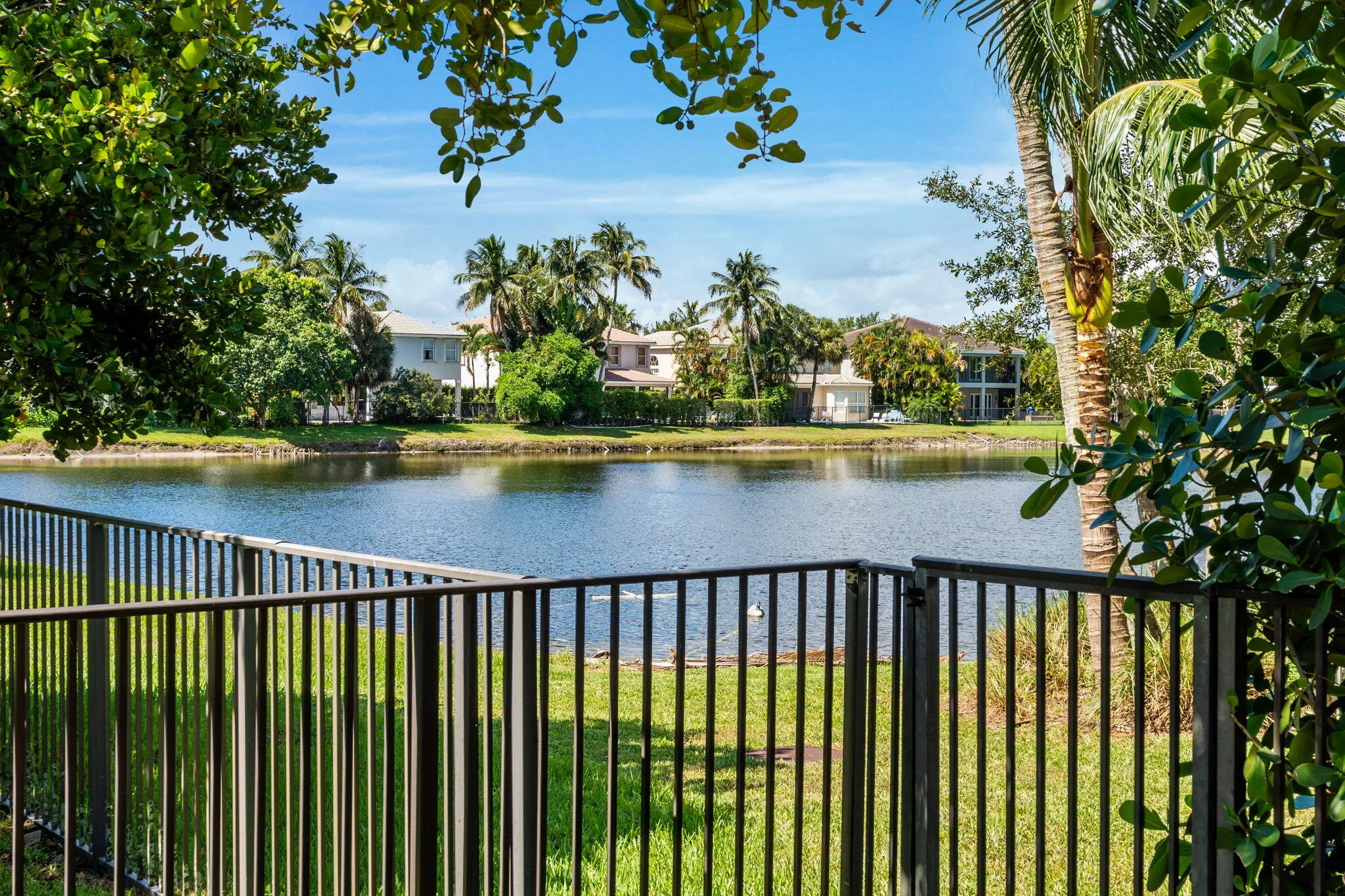 64-web-or-mls-A7402948