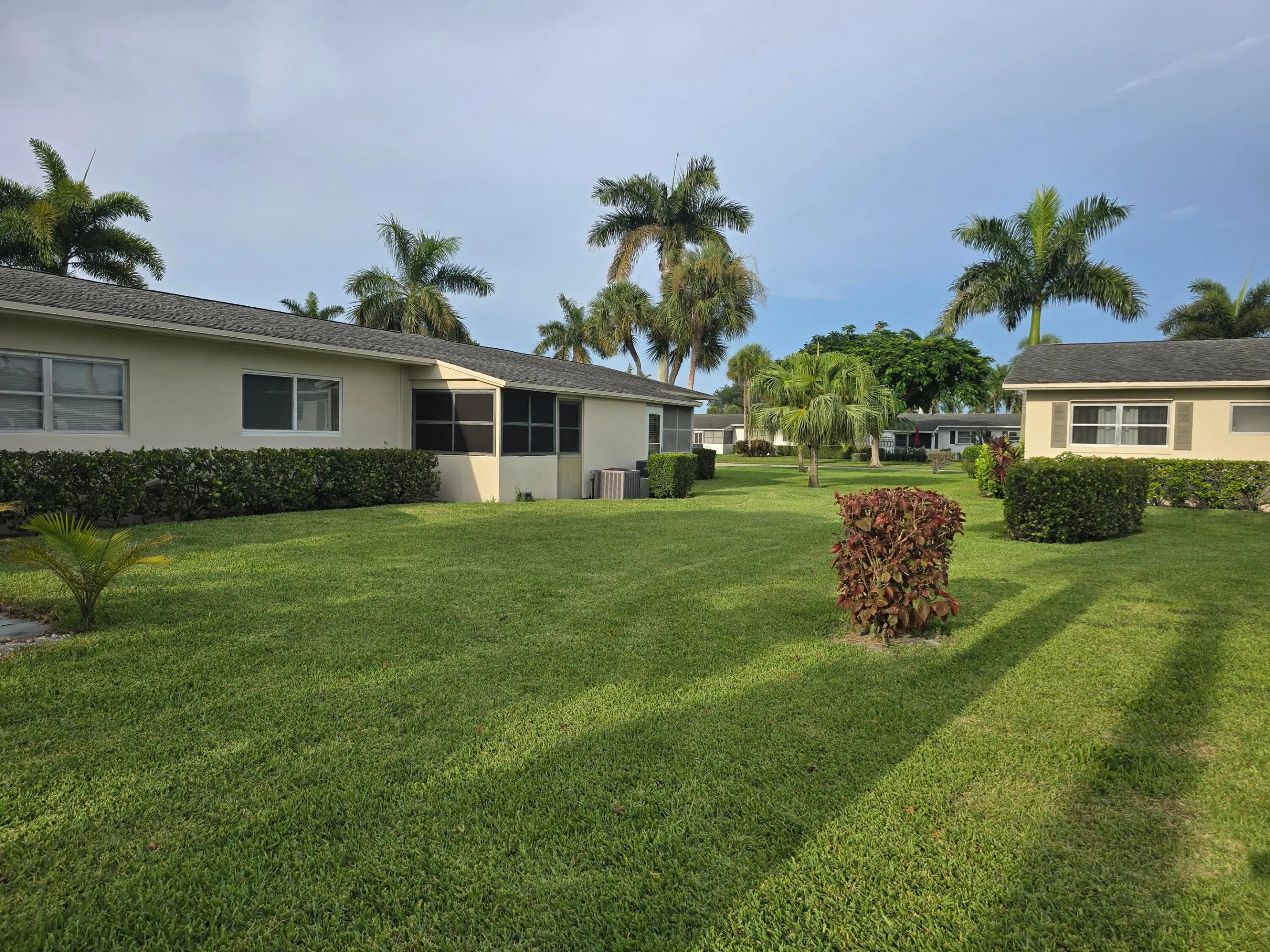 back yard