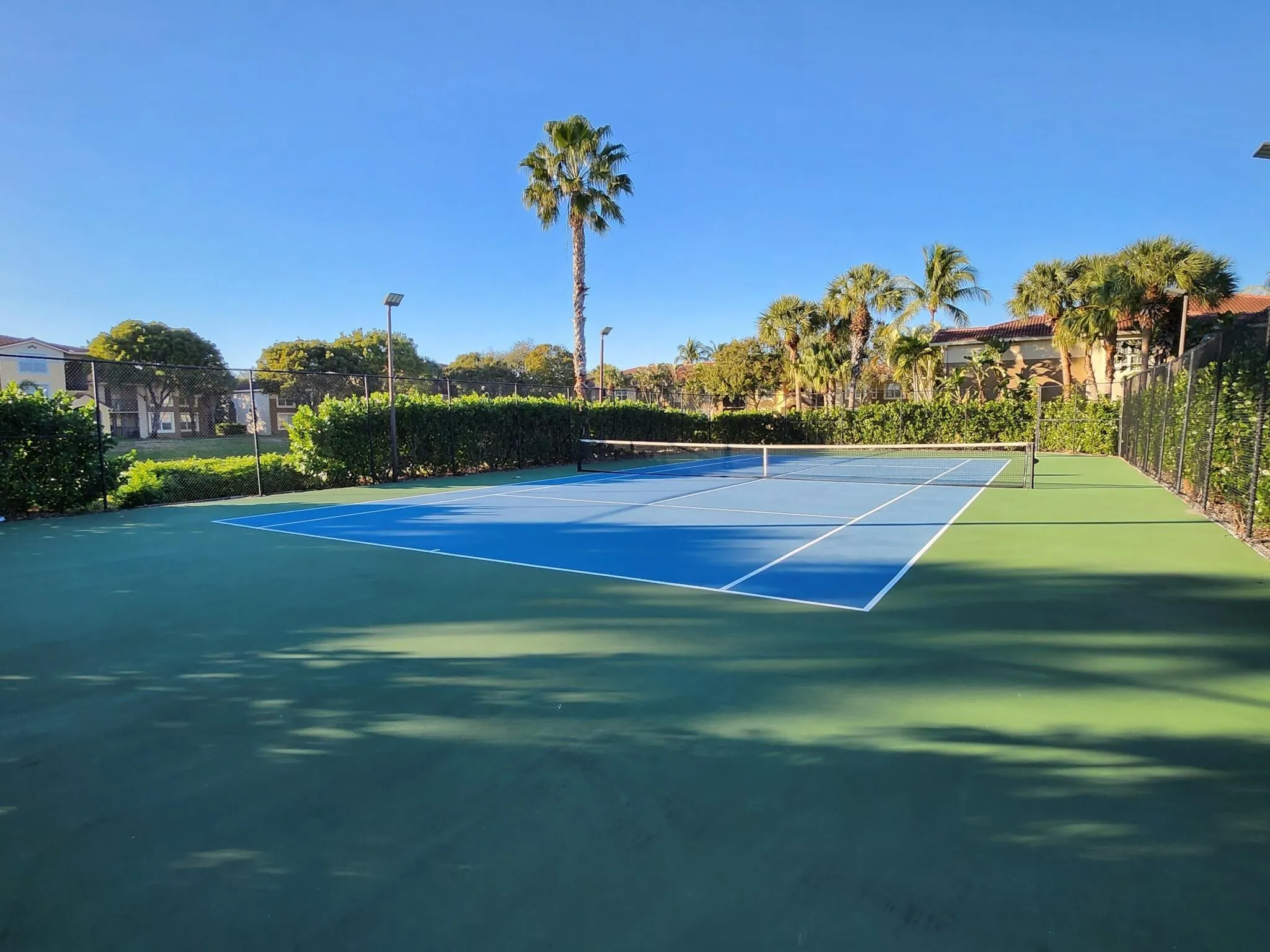 Blue and green hard tennis court with white line markings, surrounded by a dark perimeter fence and mature landscaping