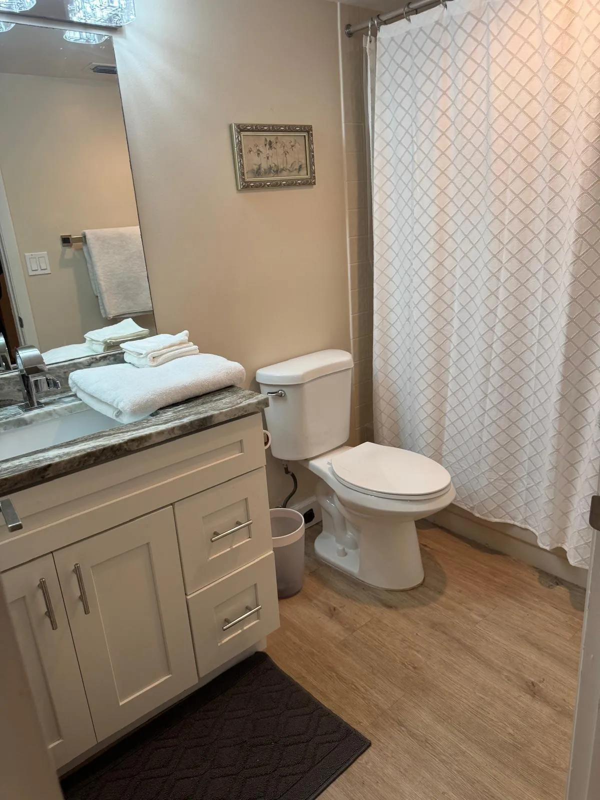 Bathroom featuring a white vanity with granite-style countertop, a rectangular sink with a chrome faucet, and wood-finish flooring
