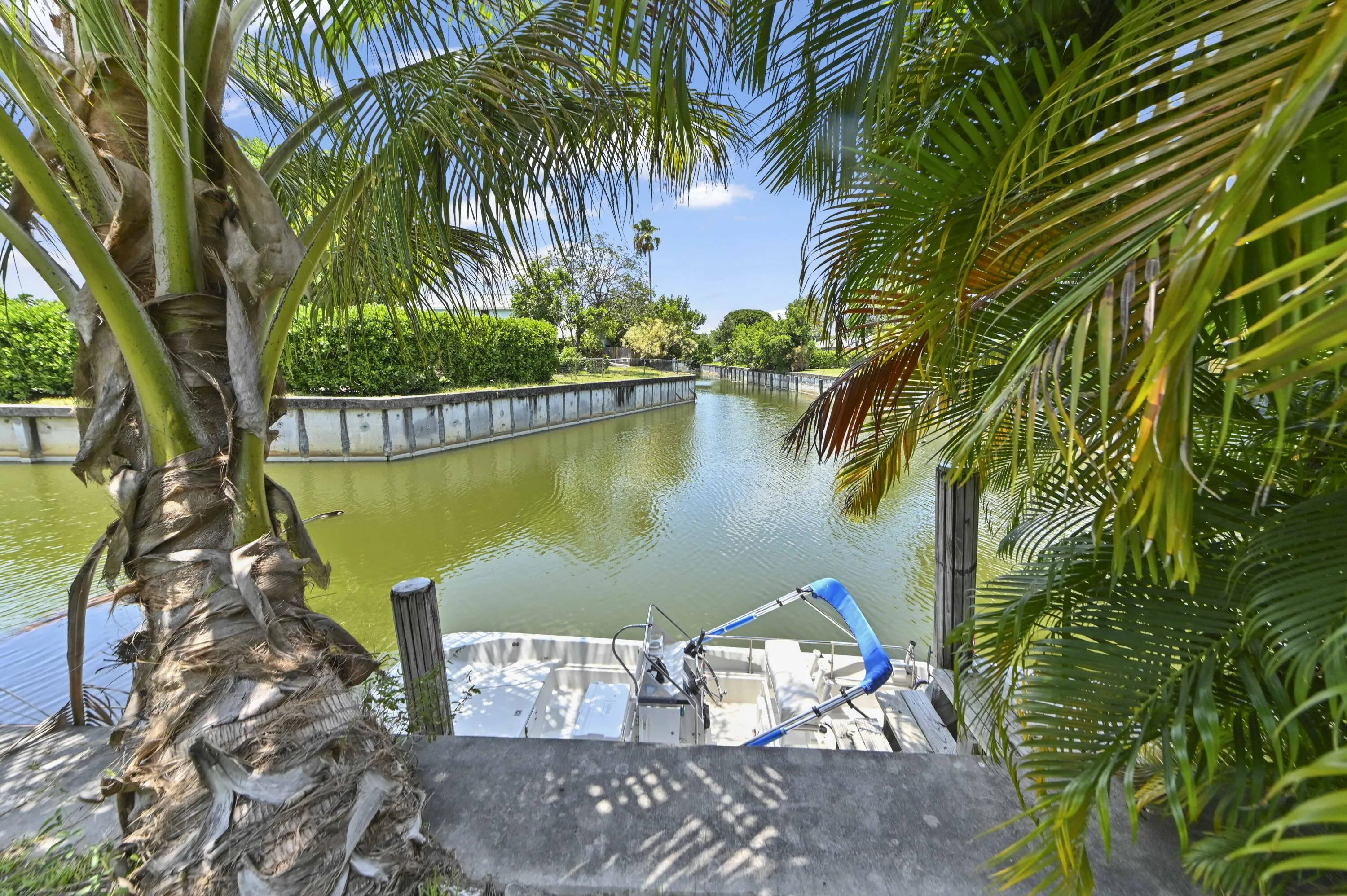 35 Backyard 05
