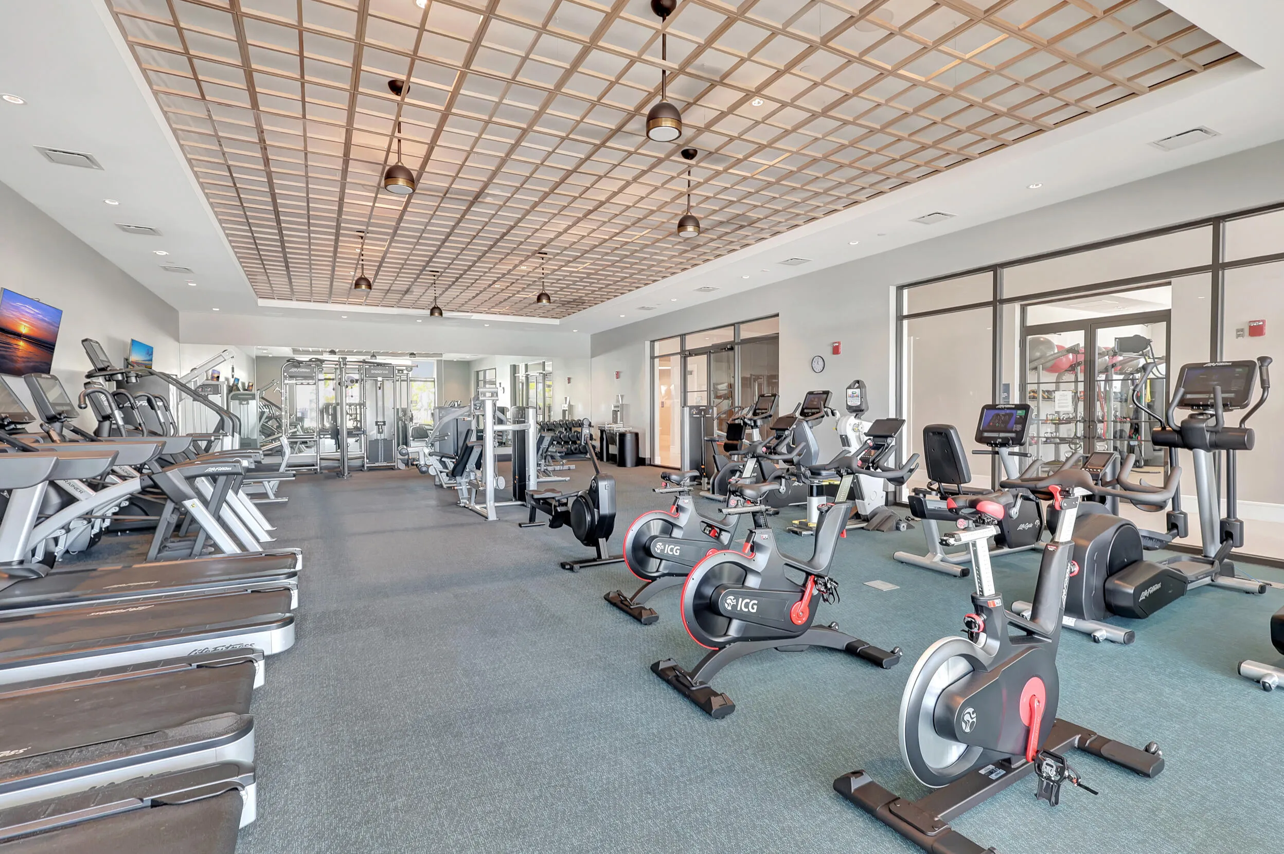 Fitness