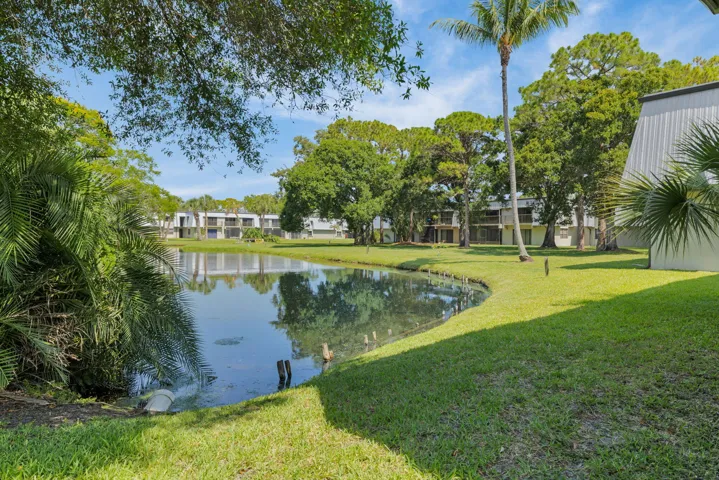 28-web-or-mls-3A5A9960