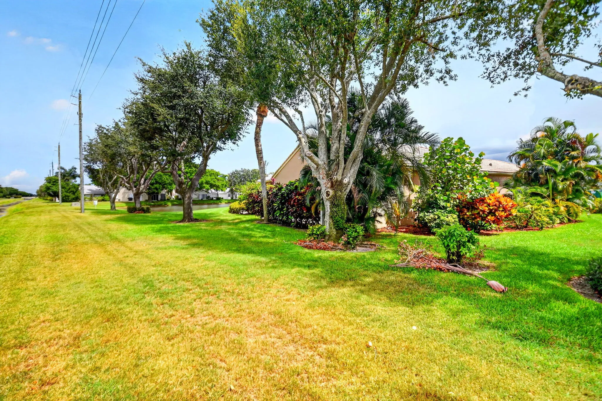 57-web-or-mls-DSC_1747